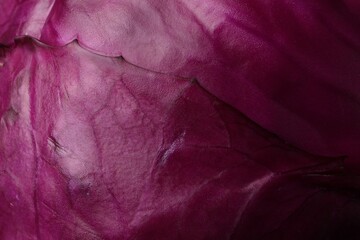Fototapeta premium Fresh ripe red cabbage as background, closeup