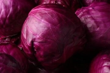 Obraz premium Many fresh ripe red cabbages as background, closeup