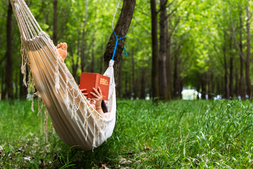 Women reading on hammock