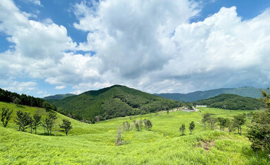 Fototapeta na wymiar 真っ青な空と草原と山　砥峰高原