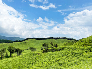 Fototapeta na wymiar 真っ青な透き通った空と草原と山　砥峰高原