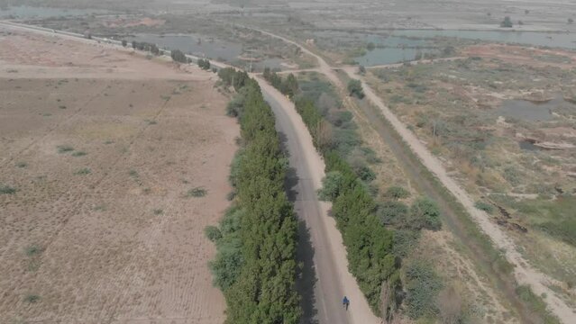 In Khairpur Sindh, which is close to the desert with a few lakes visible in the distance, a drone captured an aerial footage showing a few automobiles travelling down a road bordered with trees.