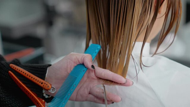 Asian hairdresser team give service beauty and treatment to customers. Professional stylist male and woman hair design and using scissors cutting hair to consumer with smile in beauty salon or barber.