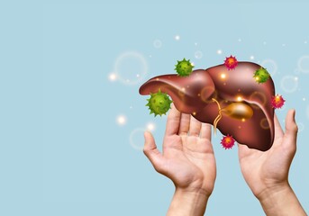 World hepatitis day concept. Doctor hands holding liver with virus symbol for diagnosis types of...