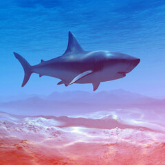 shark underwater toned red color