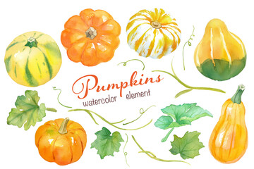 カラフルなカボチャの水彩イラスト。エレメントのセット。ハロウィン、収穫祭の装飾。（背景透過）