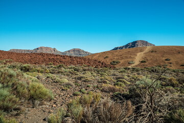 Unique landscape of Teide National Park and view of Teide Volcano peak. Tenerife Island.