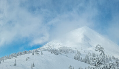 Beautiful sunny winter landscape in the mountains. Mountain and fir trees covered with snow. Ukrainian Carpathians.