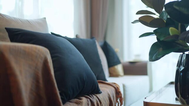 close up shot of decorating pillow arrange on white beige soft sofa couch home interior design detail background,sofa with beautiful pillow living room home design background