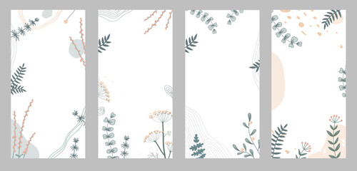 Fototapeta Abstract floral background, social media stories template with plants. Elegant herbs and shapes, pastel colors. Space for text obraz
