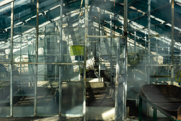 Old dilapidated greenhouses. Ruined abandoned greenhouse complex.