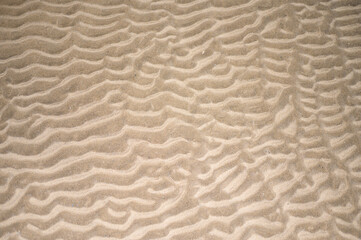 Fototapeta na wymiar Abstract of ripples in the sand on the beach