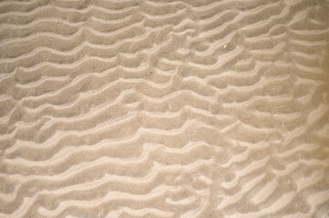 Abstract of ripples in the sand on the beach