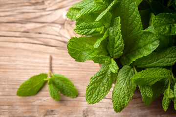 Fresh mint on the wooden background