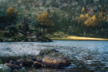 Forest background on the mountain of Pyrenees Plateau