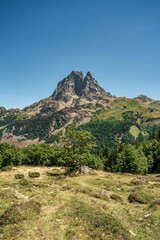 Naklejka premium Natural landscapes of the lake, forest and mountains in the French Pyrenees