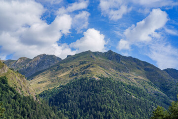 Natural landscapes of the lake, forest and mountains in the French Pyrenees