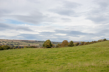 Fototapeta na wymiar Countryside scenery in Wales.