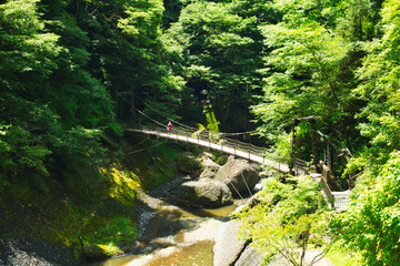 袋田の滝近くにかかる吊り橋