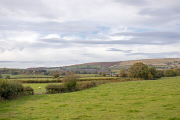 Fototapeta premium Countryside scenery in Wales.