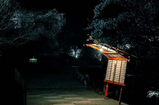 fortune telling at kyoto spring night