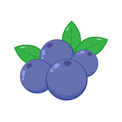 Blueberry vector. blueberry on white background. symbol. logo design.