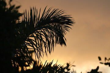 Mexico Oasis pool resort