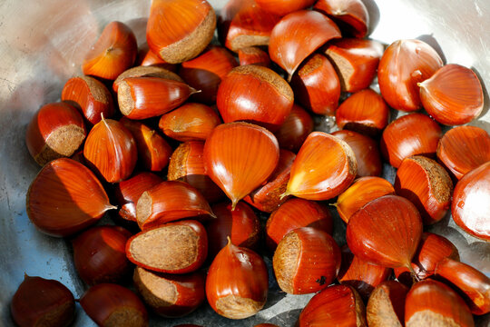 roasted chestnuts on a table