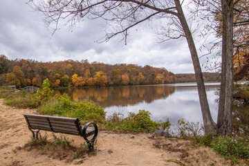 bench in autumn