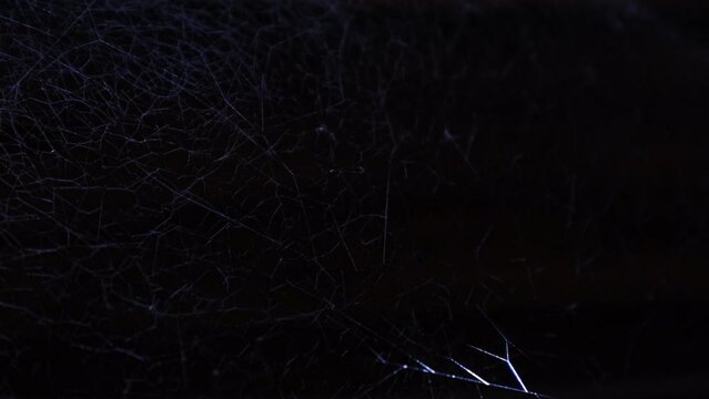 Blue light on spider web art video backgrounds