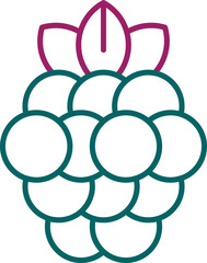 Raspberry Icon