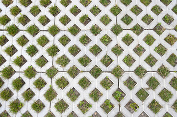 Geometric concrete of parking whith green grass.Paving stones for grass. Tiles made of concrete in the form of rhombus