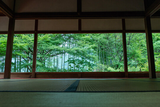宝泉院