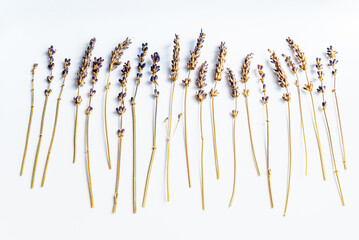 Dried lavender stems on white background. Table top view, flat lay