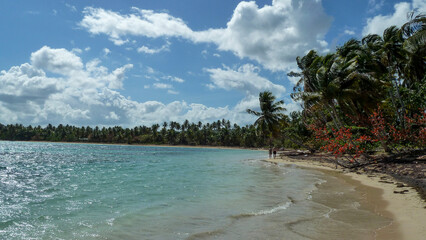 Tropical beach with palm trees