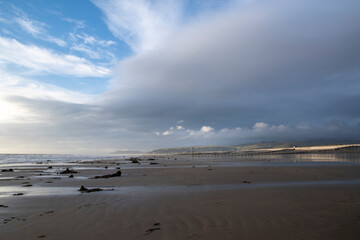 the remains of the petrified forest on Borth beach during low tide