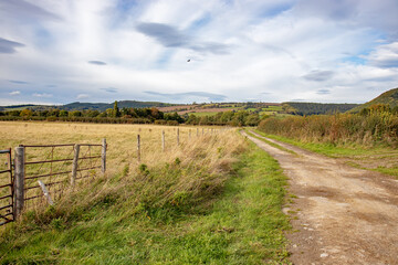 Fototapeta na wymiar Rural countryside in the UK.
