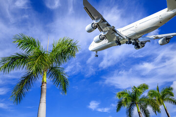 airliner arrives above palm trees
