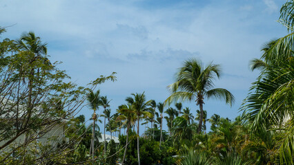 Sunny day tropical island