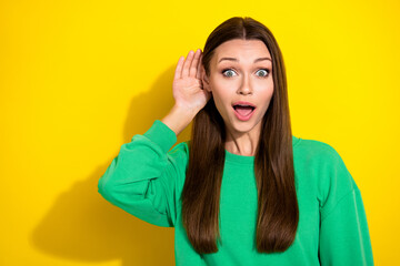 Photo portrait of gorgeous astonished young lady listening news rumor dressed trendy green...