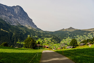 Grindelwald, Eiger, Eigernordwand, Alpen, Berner Oberland,  Kleine Scheidegg, Männlichen, Lauberhorn, Wanderweg, Bergdorf,  Bergwiesen, Landwirtschaft, Sommer, Schweiz