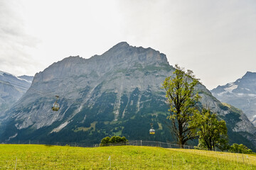 Grindelwald, Schreckhorn, Pfingstegg, Mettenberg, Gletscher, Alpen, Berner Oberland,...