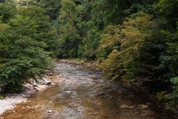 Landscape, river in the mountains