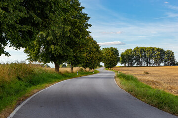 Road in the countryside. Summer day. South Czech Republic.