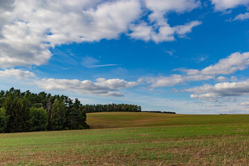 Landscape of the countryside. Czech. Typical summer countryside landscape.