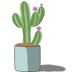 Small Cactus in the pot.Hand drawn.Creative with illustration in flat design.