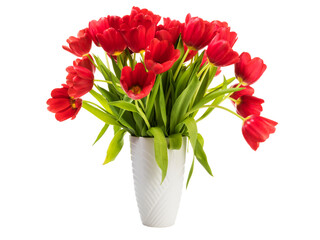 Bunch of red tulips in a white vase isolated with transparent background - 523556287