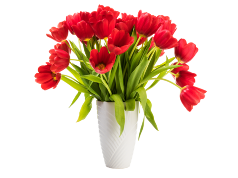 Bunch of red tulips in a white vase isolated with transparent background