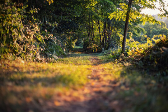 Balade en Ari&egrave;ge le long de l'Arize vers Le Mas d'Azil
