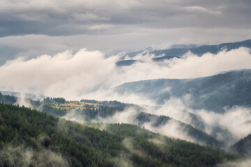 Fototapeta na wymiar Amazing aerial view of beautiful low clouds creeping on the tree-covered mountain slopes, the Rhodopes in Bulgaria.